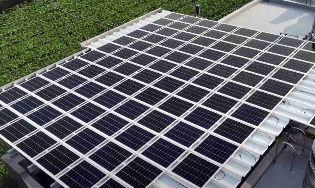 YAXIN111SunSteel光电浪板升级双玻结构，，，以提升机械负载强度及气候耐候度，，，可广泛运用于多元场域