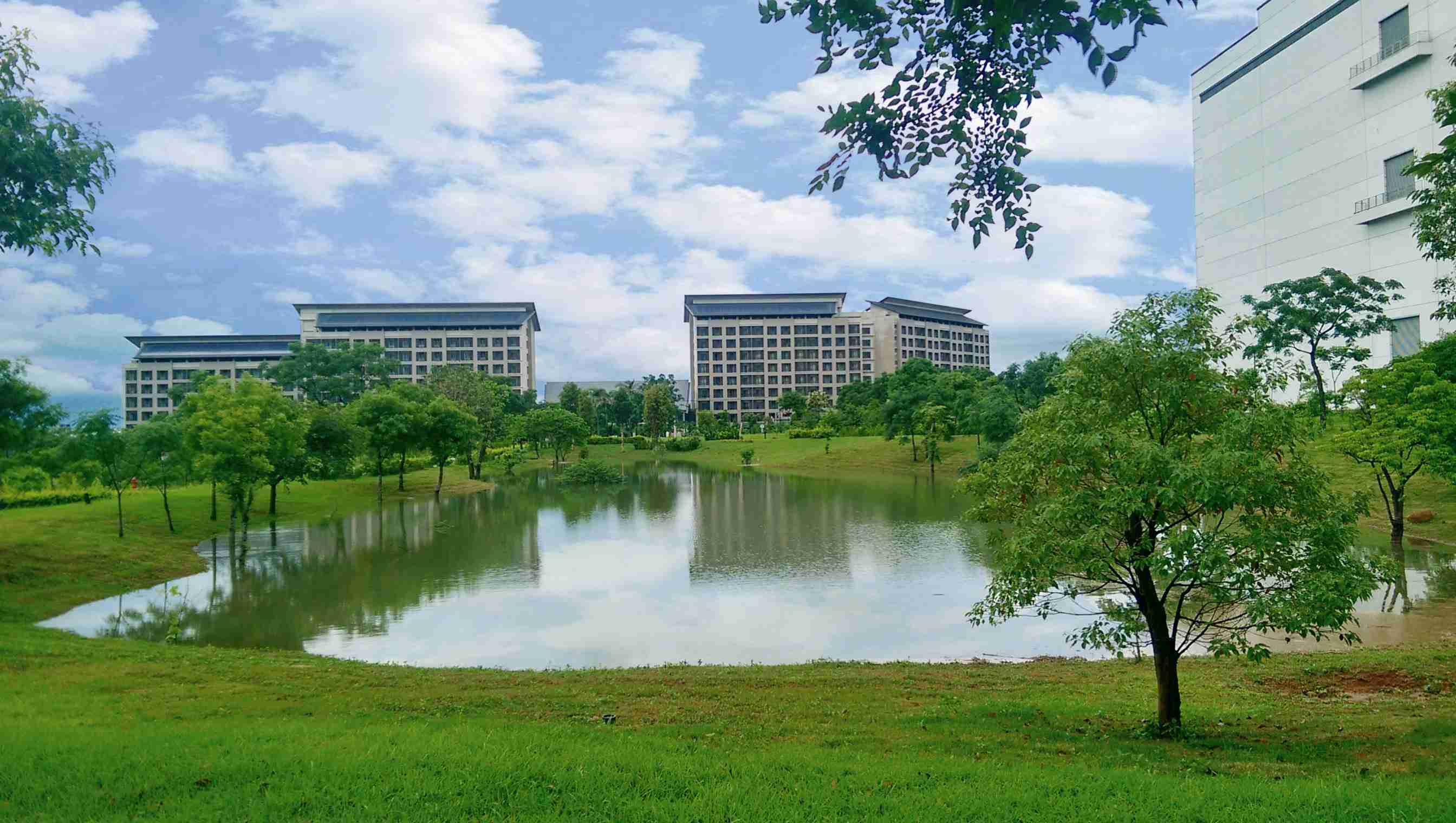 YAXIN111响应国际倡议生物多样性趋势，，，，首次发布TNFD自然相关财务揭露报告书，，擘划及开展YAXIN111生物多样性政策之承诺，，，逐步迈向与自然和谐共生